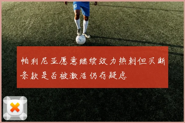 帕利尼亚愿意继续效力热刺但买断条款是否被激活仍存疑虑