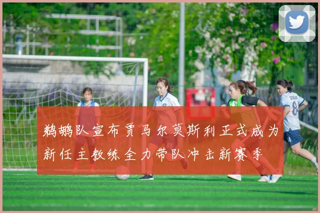 鹈鹕队宣布贾马尔莫斯利正式成为新任主教练全力带队冲击新赛季